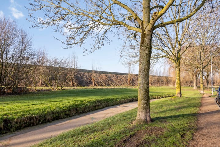 Photo 33 of Blauwe wijngaardrank 30