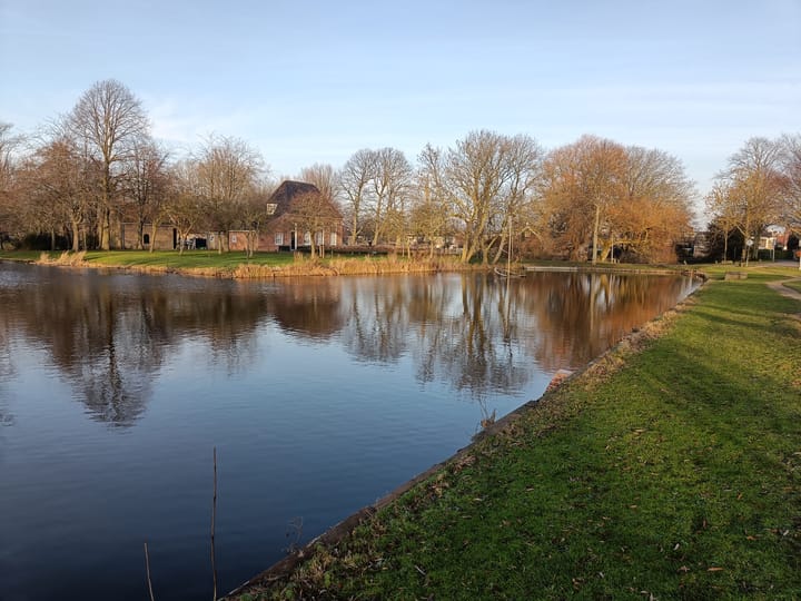 Photo 34 of Blauwe wijngaardrank 30