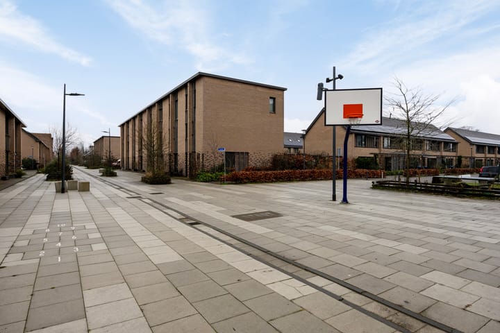 Photo 38 of Douglashout 65