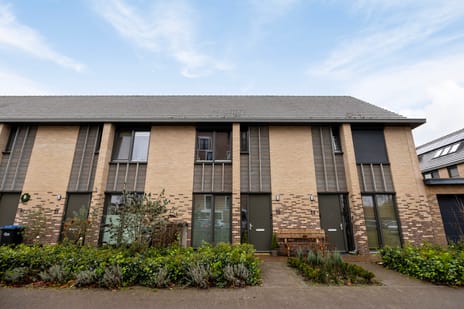 Douglashout thumbnail