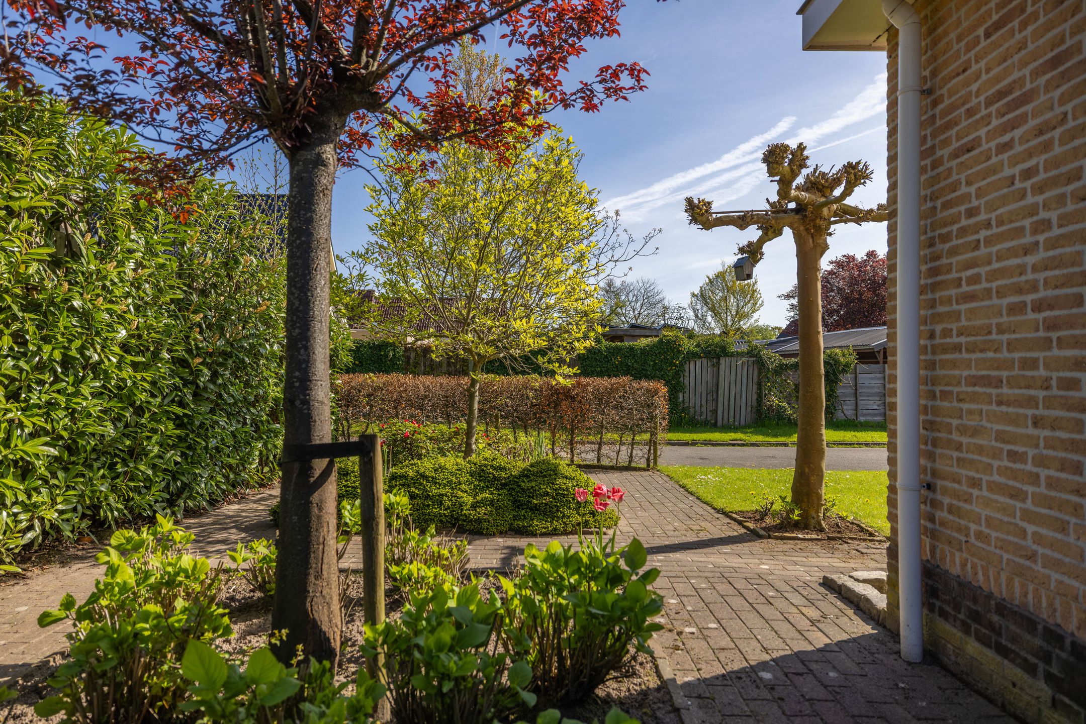 Foto 54 van Ritmasterswyk 17