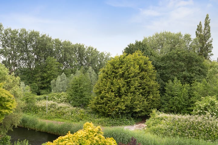 Foto 42 van Amerbachstraat 13