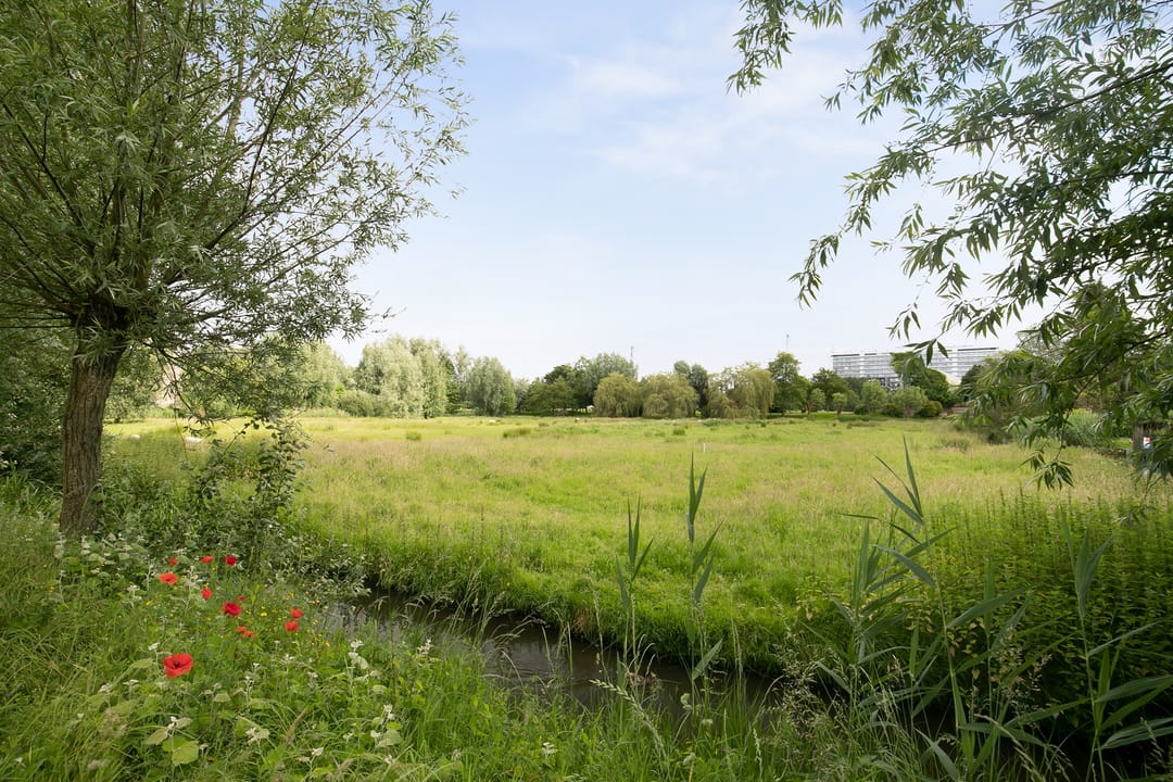 Foto 43 van Amerbachstraat 13