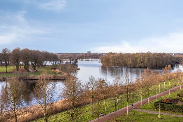 Foto 25 van Senecalaan 65