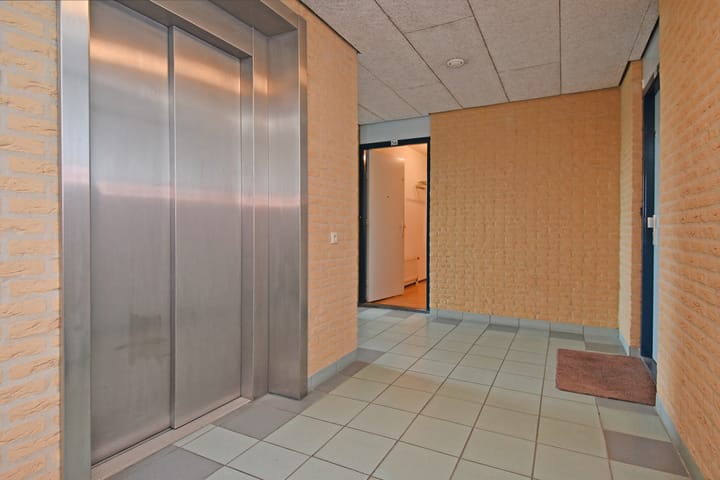 Foto 7 van Ridderspoor 56