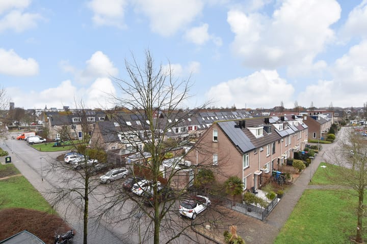 Foto 32 van Ridderspoor 56