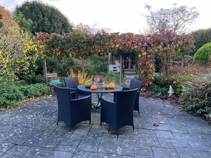 Foto 43 van Dokter Beumerstraat 46-B