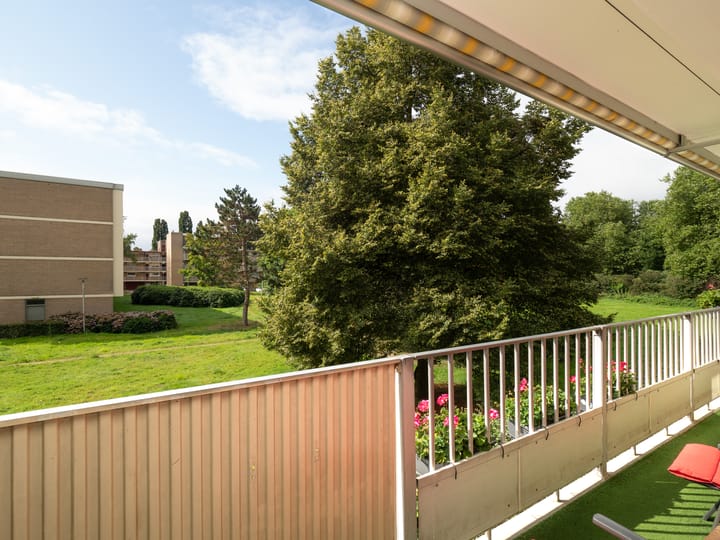 Foto 18 van Malvert 6541