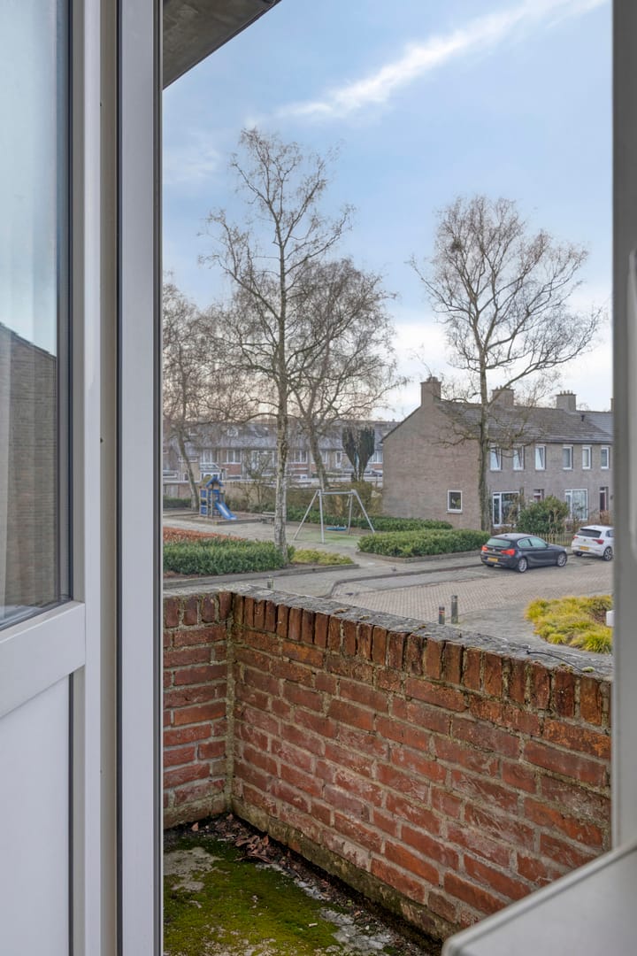 Foto 32 van Cygnus 11