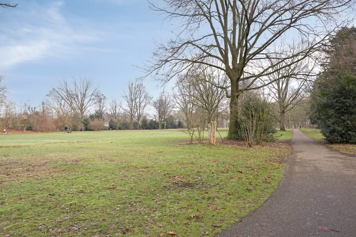 Foto 48 van Cygnus 11