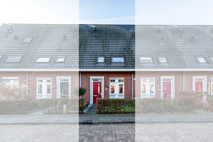 Foto 2 van Bezembinder 52