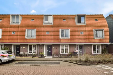 undefined main image