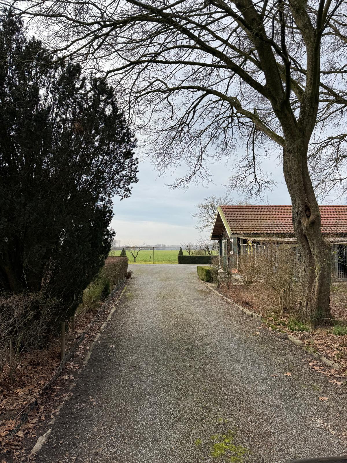 Foto 15 van Matthijsstraat 25