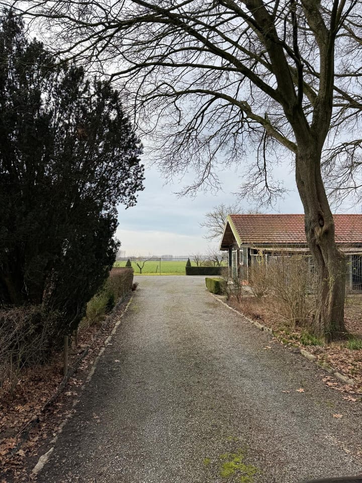 Foto 15 van Matthijsstraat 25