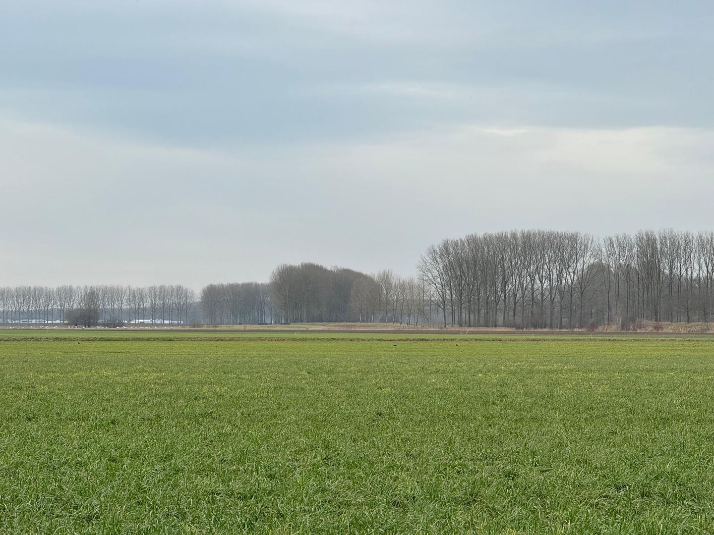 Foto 20 van Matthijsstraat 25