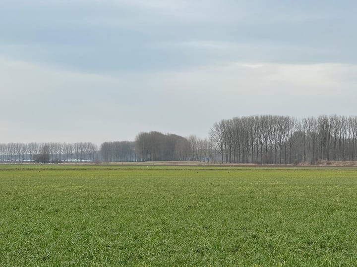 Foto 20 van Matthijsstraat 25