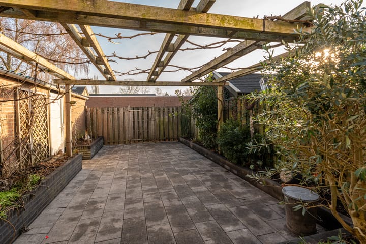 Photo 36 of Omloop 61