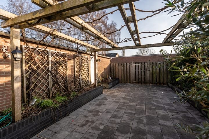 Photo 37 of Omloop 61