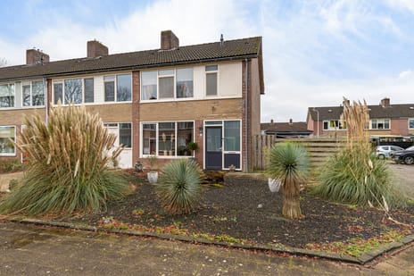 undefined main image