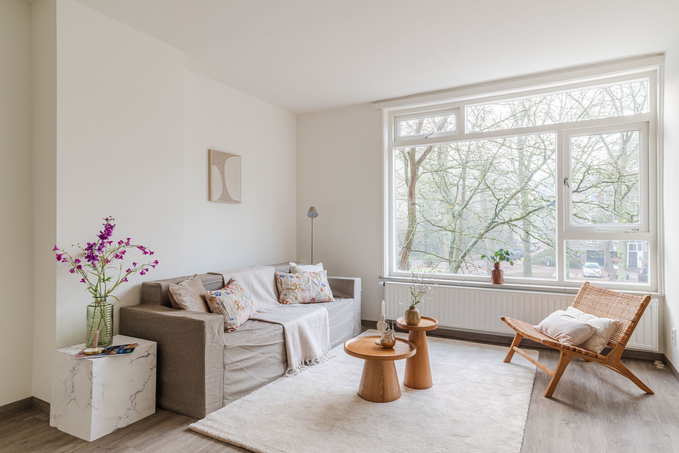 Photo 3 of Pieter Jelles Troelstralaan 57-B