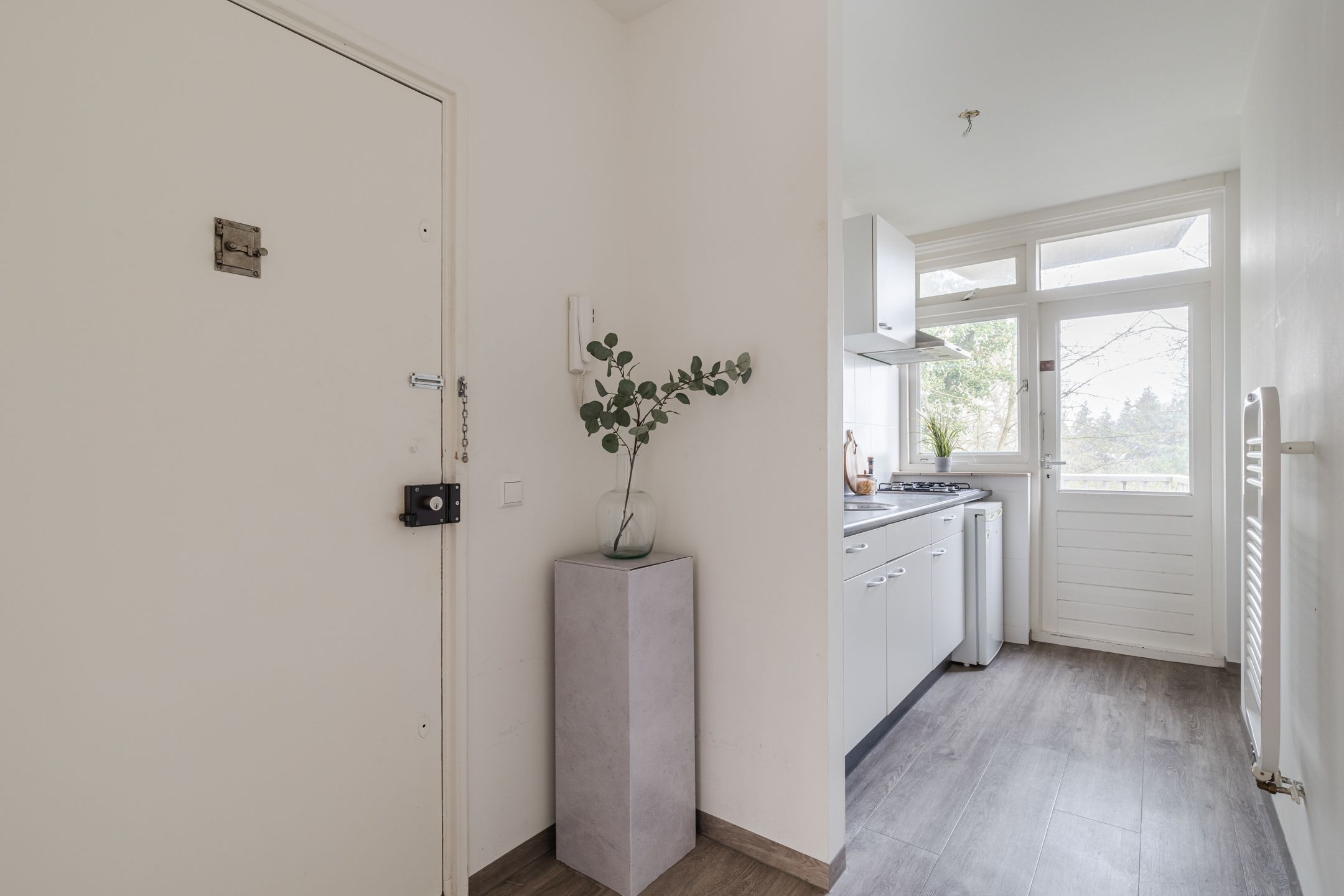 Photo 15 of Pieter Jelles Troelstralaan 57-B