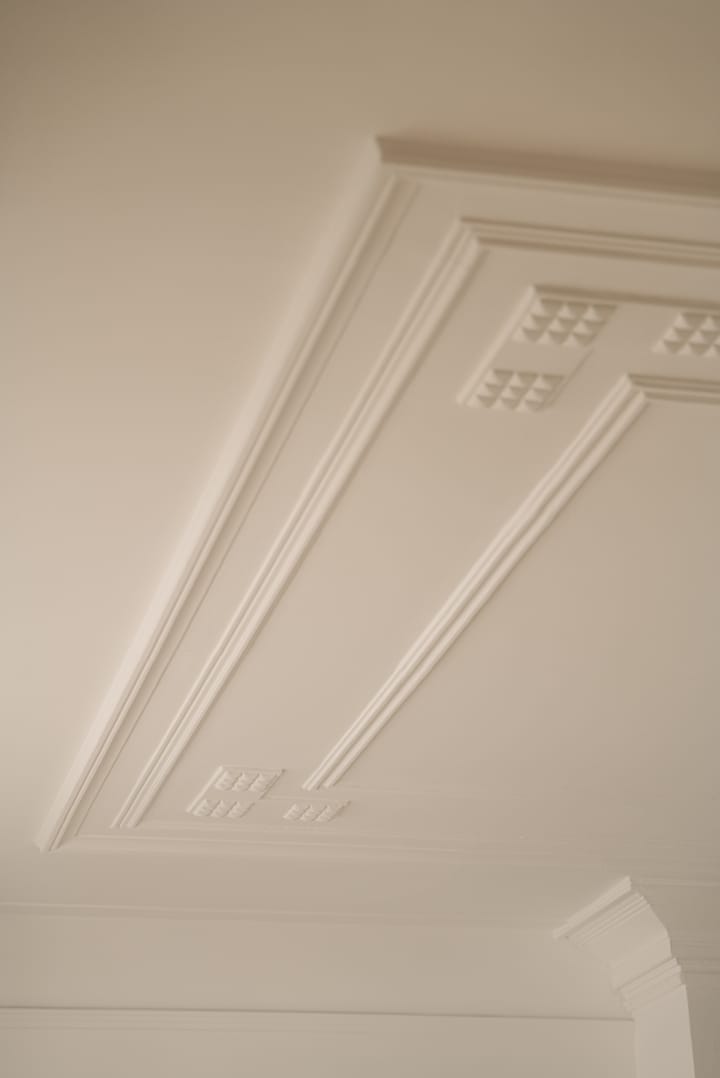 Foto 21 van Frans van Mierisstraat 107-2