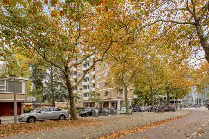 Foto 31 van Beethovenstraat 257