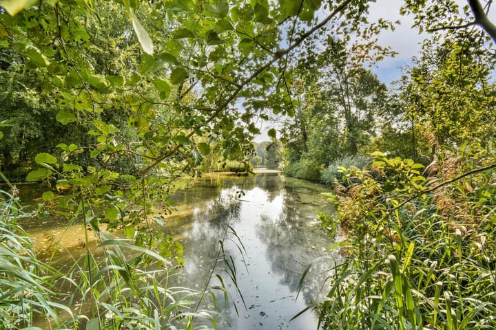 Foto 33 van Beethovenstraat 257