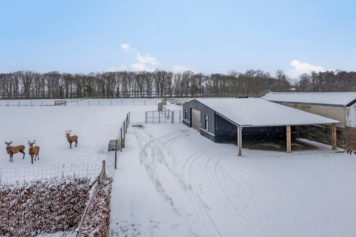 Foto 47 van Rothweg 16