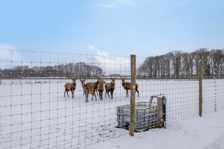 Foto 53 van Rothweg 16