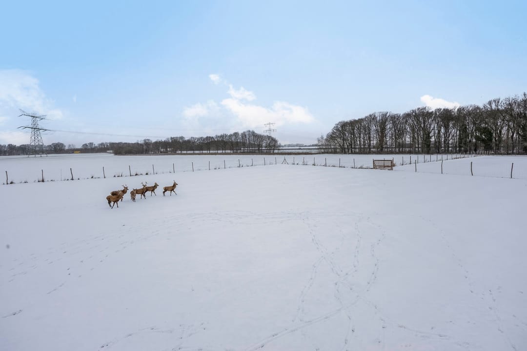 Photo 56 of Rothweg 16