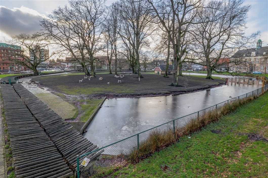 Foto 45 van Rijkensstraat 2