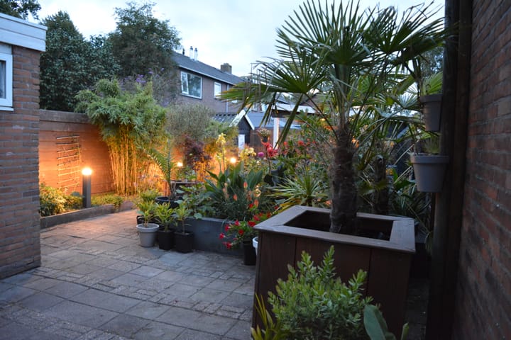 Photo 12 of De Tuije 61