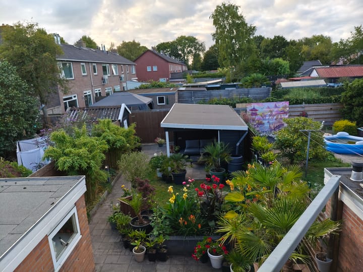 Photo 13 of De Tuije 61