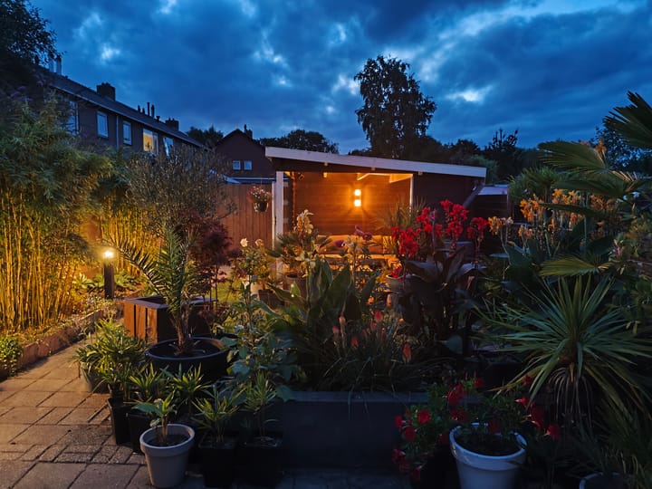 Photo 15 of De Tuije 61