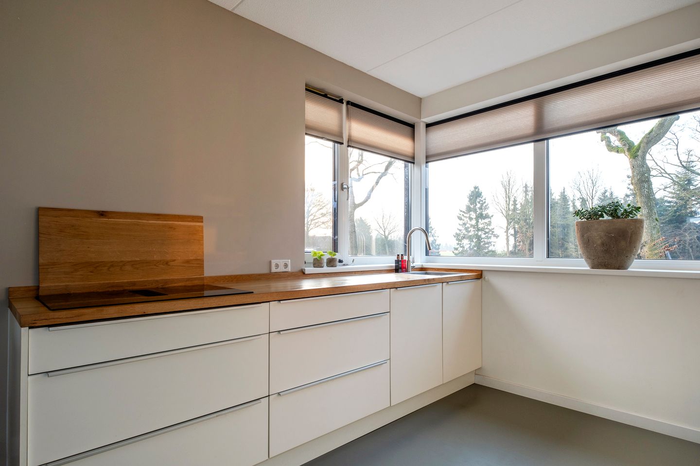 Foto 14 van Oranje 62-G