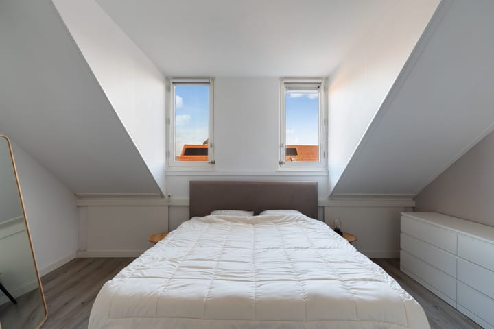 Foto 42 van Shetland 84