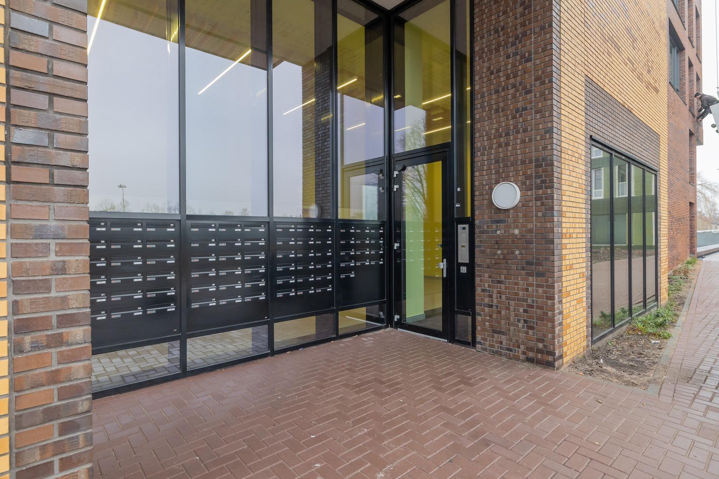 Foto 5 van Mahoniehout 434