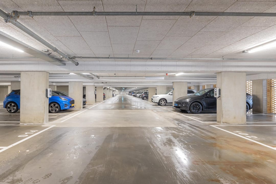 Foto 38 van Mahoniehout 434