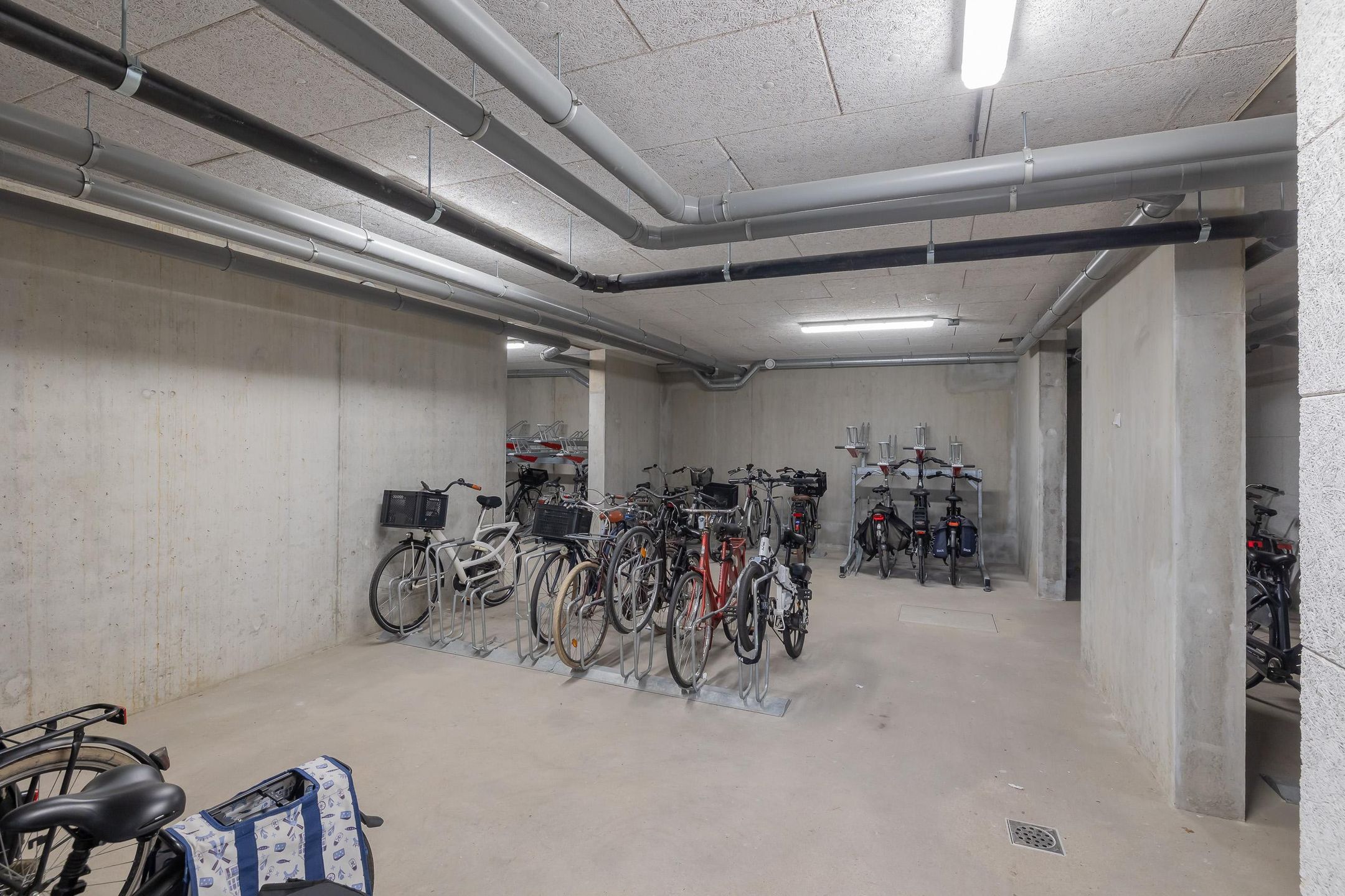 Foto 39 van Mahoniehout 434