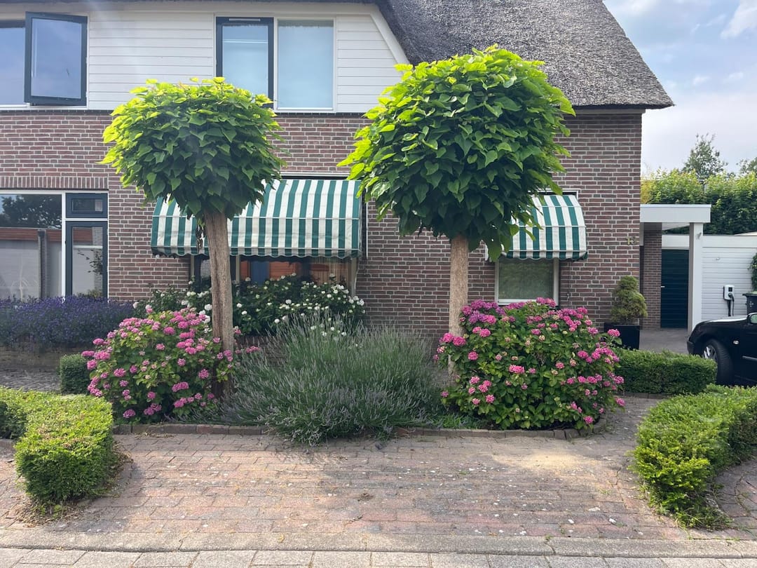 Photo 52 of Suze Groenewegstraat 13