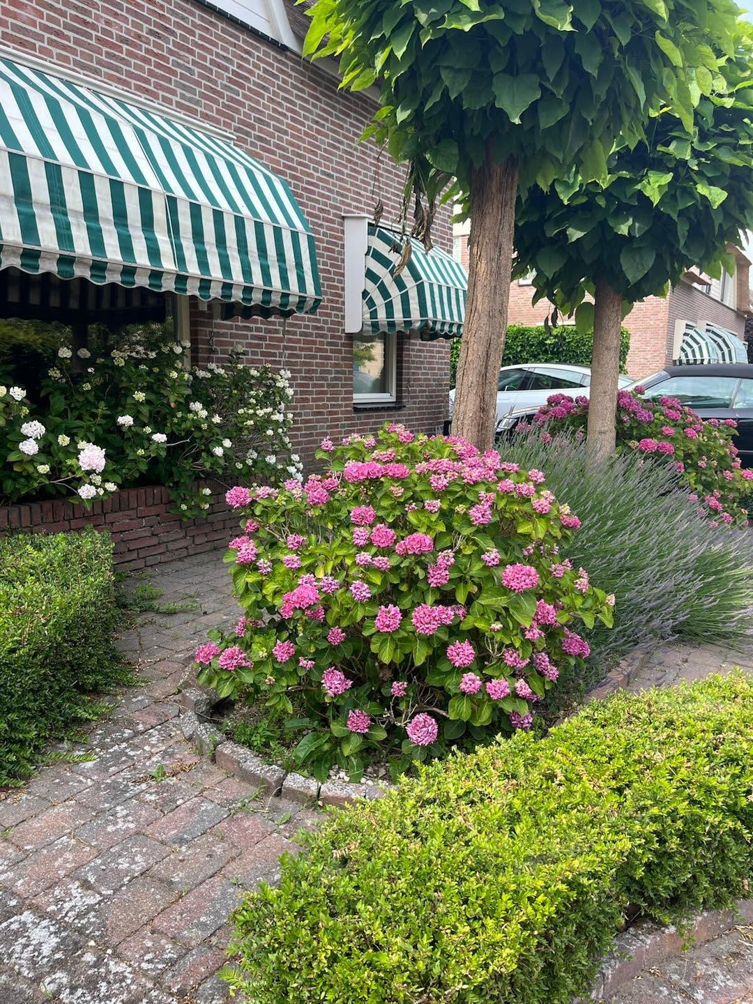 Photo 53 of Suze Groenewegstraat 13