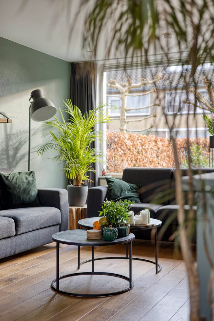 Foto 12 van Scheuterstraat 30