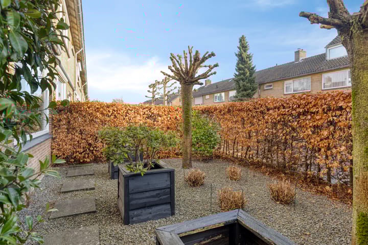 Foto 46 van Scheuterstraat 30