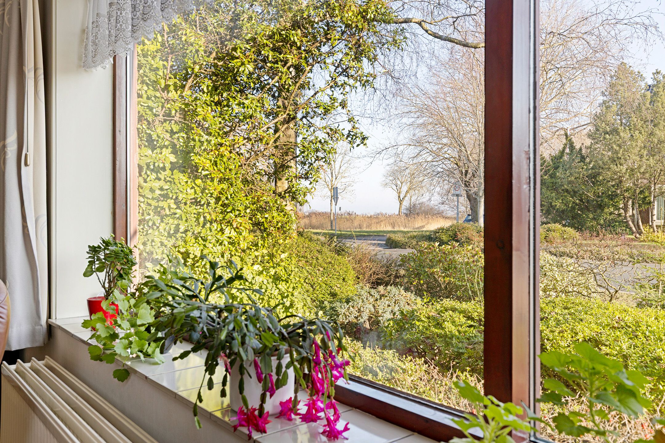 Photo 27 of Tjamsweersterweg 13