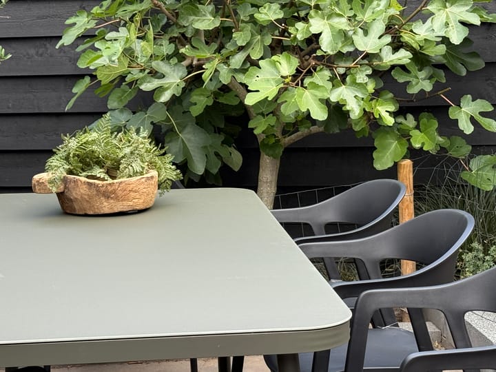 Foto 54 van Vogelzang 52