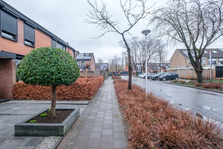 Foto 36 van Tureluur 30