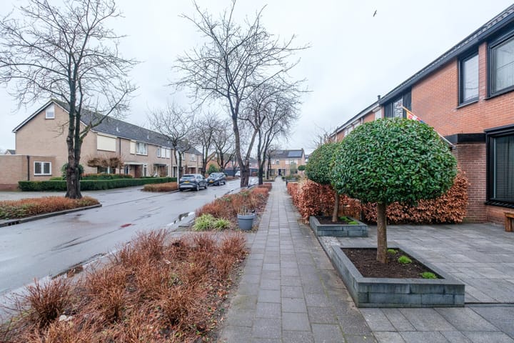 Foto 37 van Tureluur 30