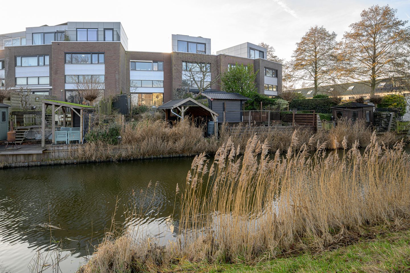 Photo 5 of Liesbeth Tilanusland 4