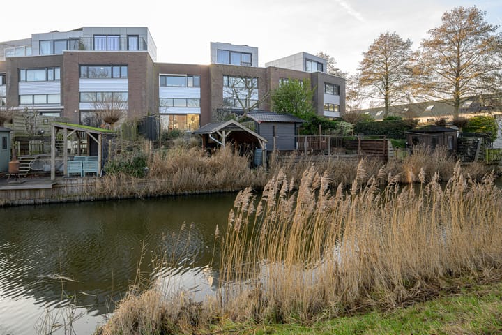 Photo 5 of Liesbeth Tilanusland 4